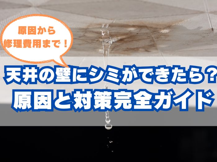 天井や壁にシミ