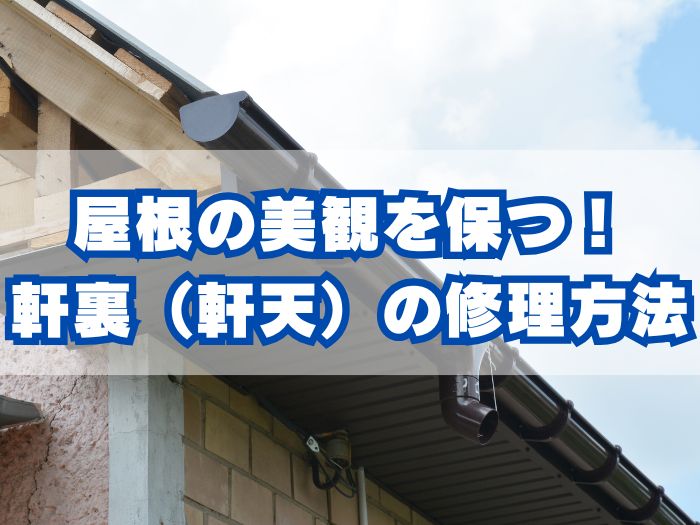 軒裏（軒天）