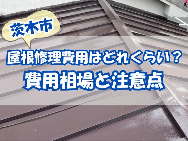 塗装後のトタン屋根