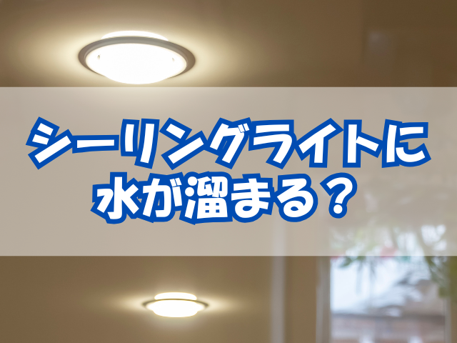 シーリングライト